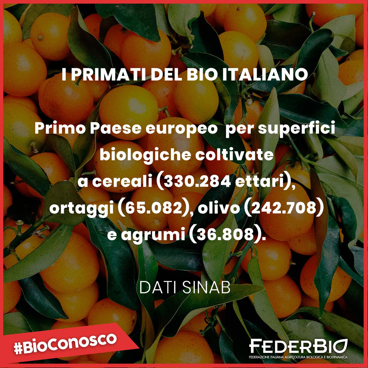 FederBio's tweet photo. #BioConosco https://t.co/z7jT57vkhp