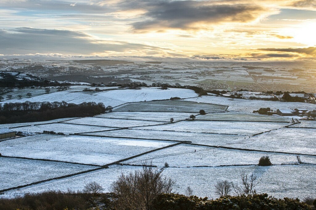 adamFAZakerley's tweet photo. Beautifully clear looking across the wintery fields as the sun was setting.
.
.
.
.
#sunset #snow #landscapephotography #landscape #art #igersyorkshire #artistsoninstagram #your_yorkshire #agameoftones #scenicbritain #capturingbritain #nature #hike #hikebritain #ExploreHud #β¦ https://t.co/1qcJCCFHgs
