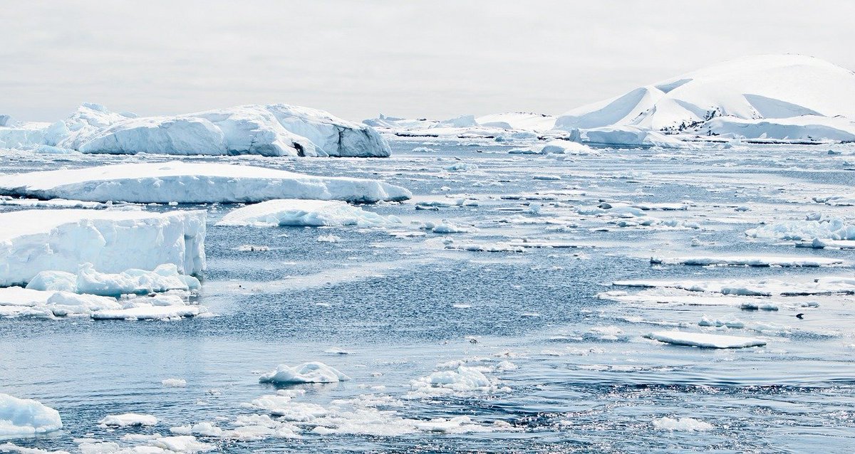 Day 1 will focus on the impacts of climate change on protected areas, with speakers from  @Parks_Australia, the Finnish Environment Institute,  @LivUni,  @UCBerkeley,  @cardiffuni and many more.