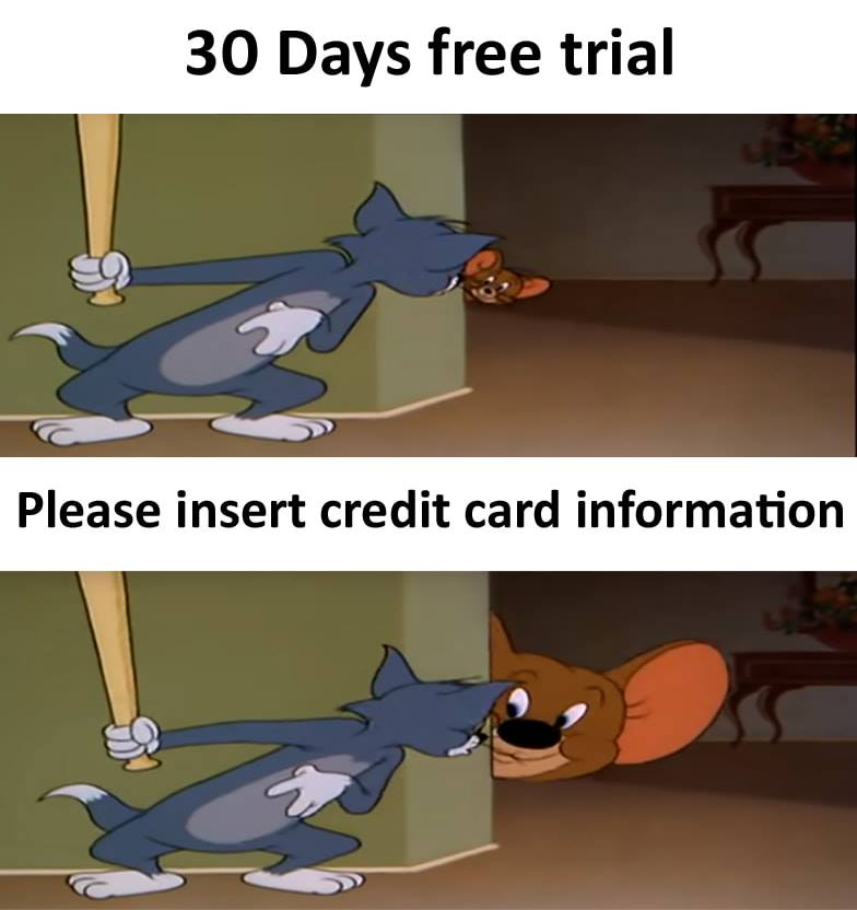 MemeProgramming's tweet image. 