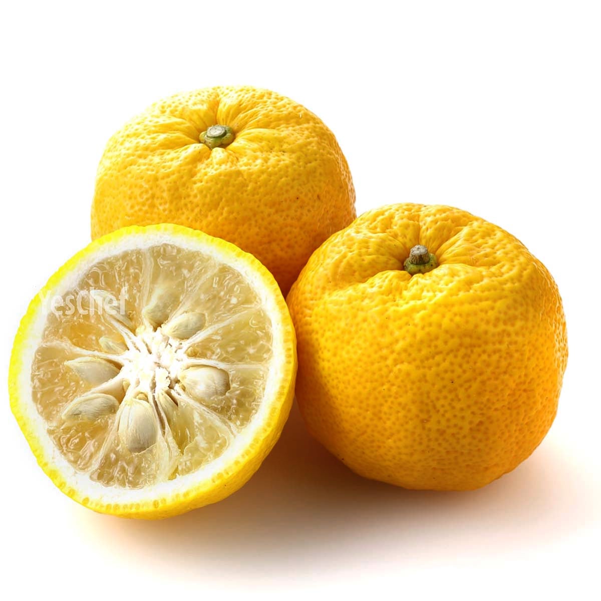 YESCHEFBIZ's tweet photo. Fresh YUZU citrus fruit with aromatic zest and unusual flavour.

#supportsmallbusiness #supportmarket

#yeschef #peelthelove #family #Yuzu #cateringindustry #cateringindustry https://t.co/wxZfxyOpLJ