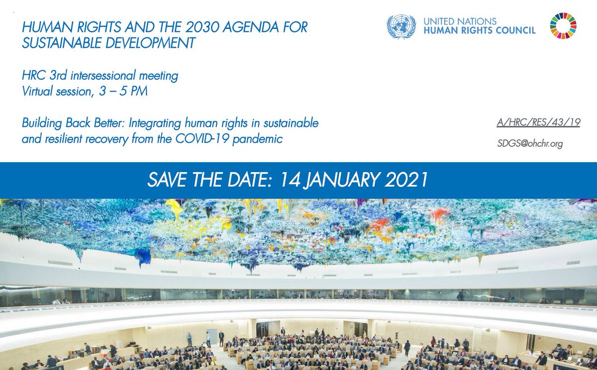 UN Human Rights Council tweet media
