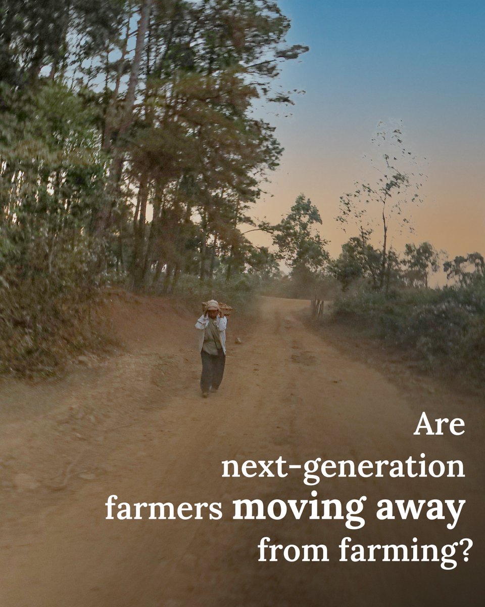 ZiziraExplorers's tweet photo. There is a steady decline in next-generation farmers carrying on the tradition of their forefathers.
This problem arises from the realization that perhaps choosing farming as an occupation would mean struggling to make ends meet.
If there are no farmers, who will provide for us? https://t.co/PQP53p73ID