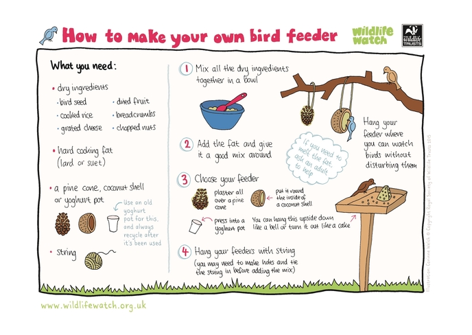 The Wildlife Trusts tweet media