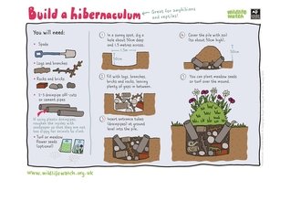 The Wildlife Trusts tweet media