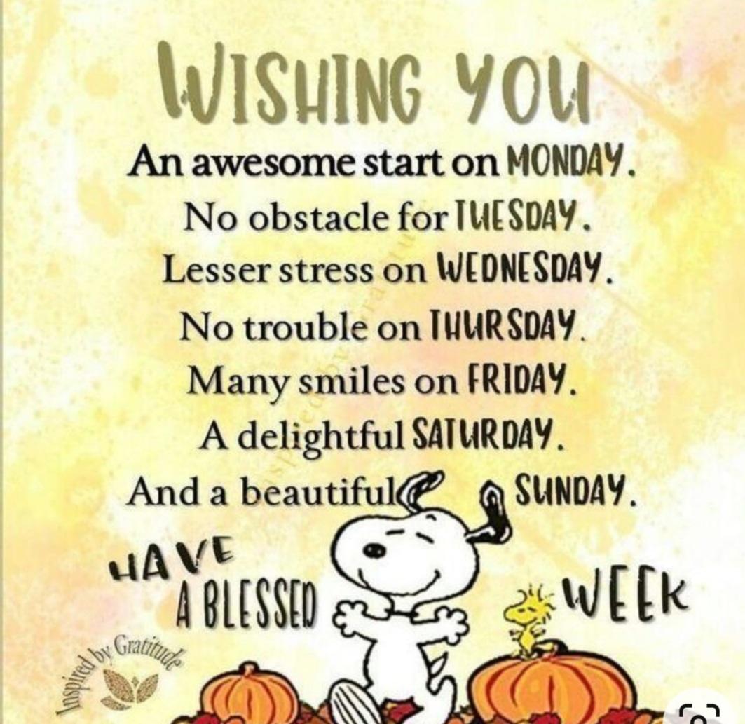 YPSYear6's tweet photo. Happy Monday @YPSyear6. We're ready to start a new week of remote learning on Purple Mash. Enjoy! 😃 https://t.co/UHehsk18jS