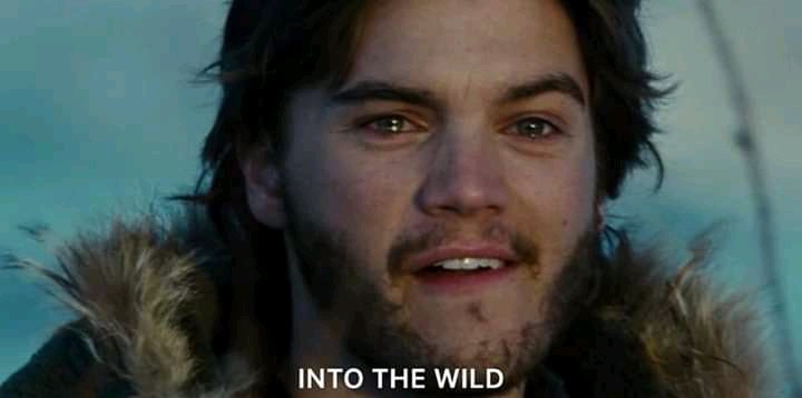 Into the wild      Or     Wild Strawberries