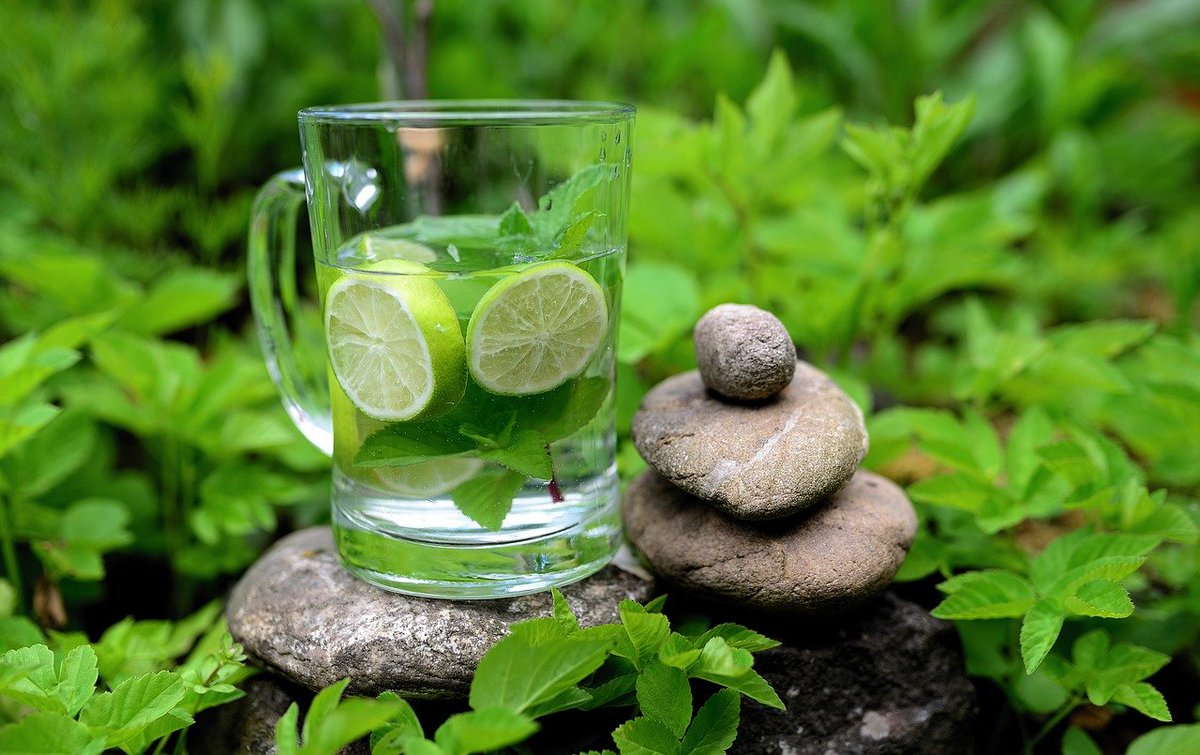 Die Natur bietet reichlich #Heilkraft für die #Gesundheit. Zahlreiche leichte #Beschwerden können mit sanftem Mitteln aus der #Natur Besserung zaubern. Wissenswerte heute rund um die #Pfefferminze - viel Freude beim Lesen wünscht #BadAibling:

bad-aibling.de/gesundheit/ges…