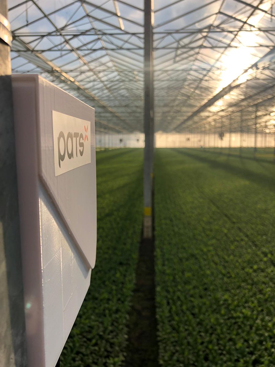 PatsDrones's tweet photo. Mooi plaatje van ons scout systeem bij @Ortolandaradish. Ortolanda kweekt🌱radijs in 🇳🇱 &amp; 🇮🇹.

Met het PATS-C systeem geven we dagelijks inzicht in de ontwikkeling van de motten plaagdruk 📊. Een belangrijke indicator voor de gewasbescherming.

#scouting #IPM #mot #rups #agtech https://t.co/3hgXQLS1wd