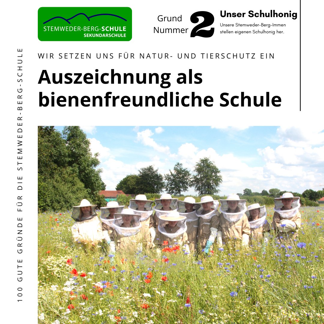 100 gute Gründe - Grund 2: Unsere Stemweder-Berg-Immen kümmern sich um unsere Bienenvölker. Diese haben einen eigenen Blühstreifen und produzieren unser #schulgold #honig

#stemwede #schulwechsel #100gutegruende #sekundarschule #imker #bienen #naturschutz #naturparkschule