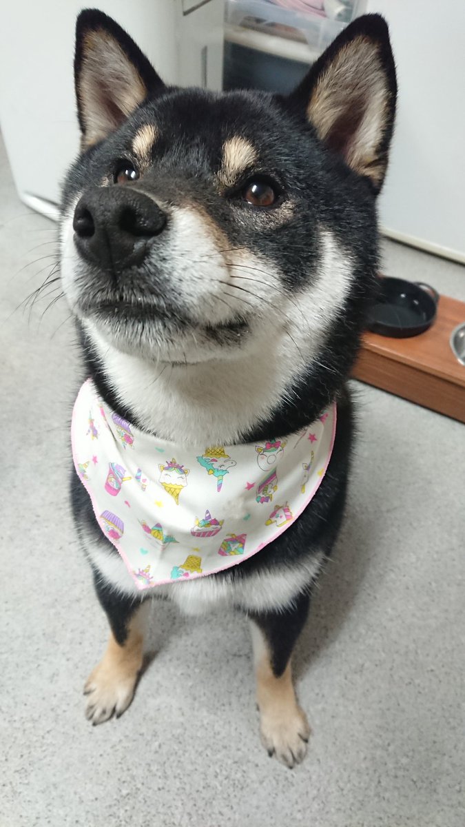 桃尻カット 桃尻カット
