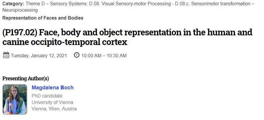 Looking forward to #SfNConnectome21! 🧠 Tomorrow, Jan 12th at 10:00-10:30 AM EST, I'll present first results from my study investigating the neural representations of faces, bodies, and objects in dogs and humans 🔍#ComparativeCognition #fMRI