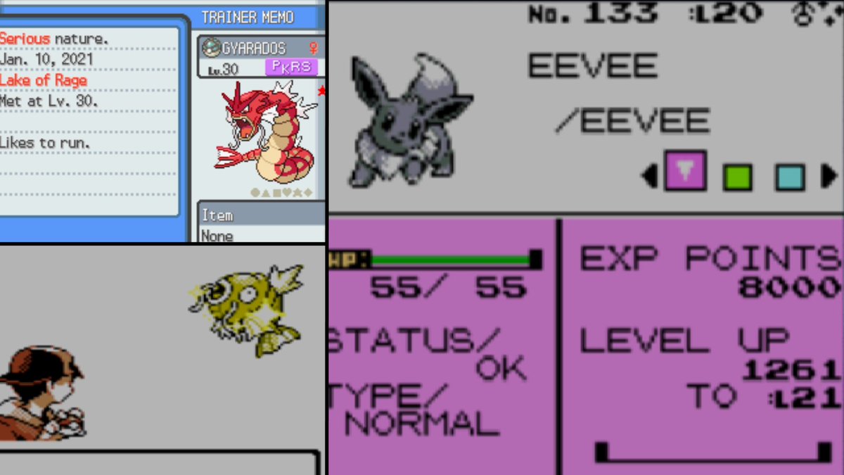 Took a break from Manaphy today, the luck came flooding in. Pokerus on LoR Shiny Gyarados, ~20 min later Eevee shines after 1490 SRs, and ~3 hours later Shiny Magikarp(Phase 2) after 835 REs.