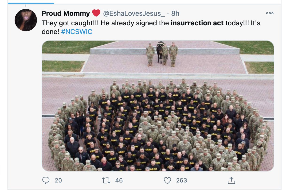 Sigh. Insurrection Act signed. The pope was arrested for child molesting. Pakistan blackouts are PROOF that blah blah blah. Just put these people in jail already.