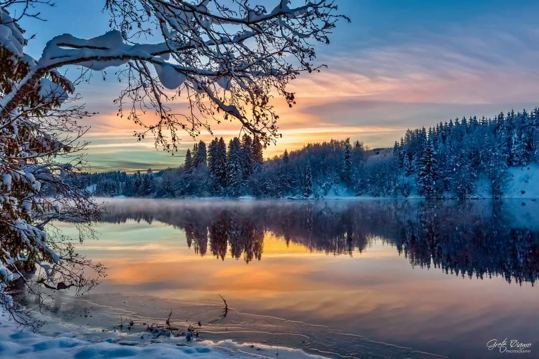 elusive_moose's tweet photo. #MondayMotivation Winter along the Nidelva River 😍 Photo Grethe Øiamo #Norway #lanscapes @trondelag https://t.co/ryjkHHo7Yt