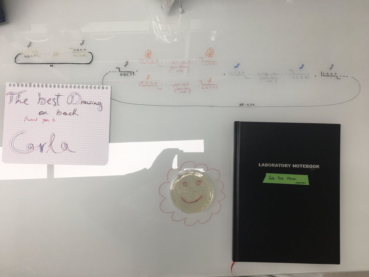 rejsmont's tweet image. Benchtop artwork ⁦@SynFlyLab⁩ by ⁦@ctousm⁩ 😍