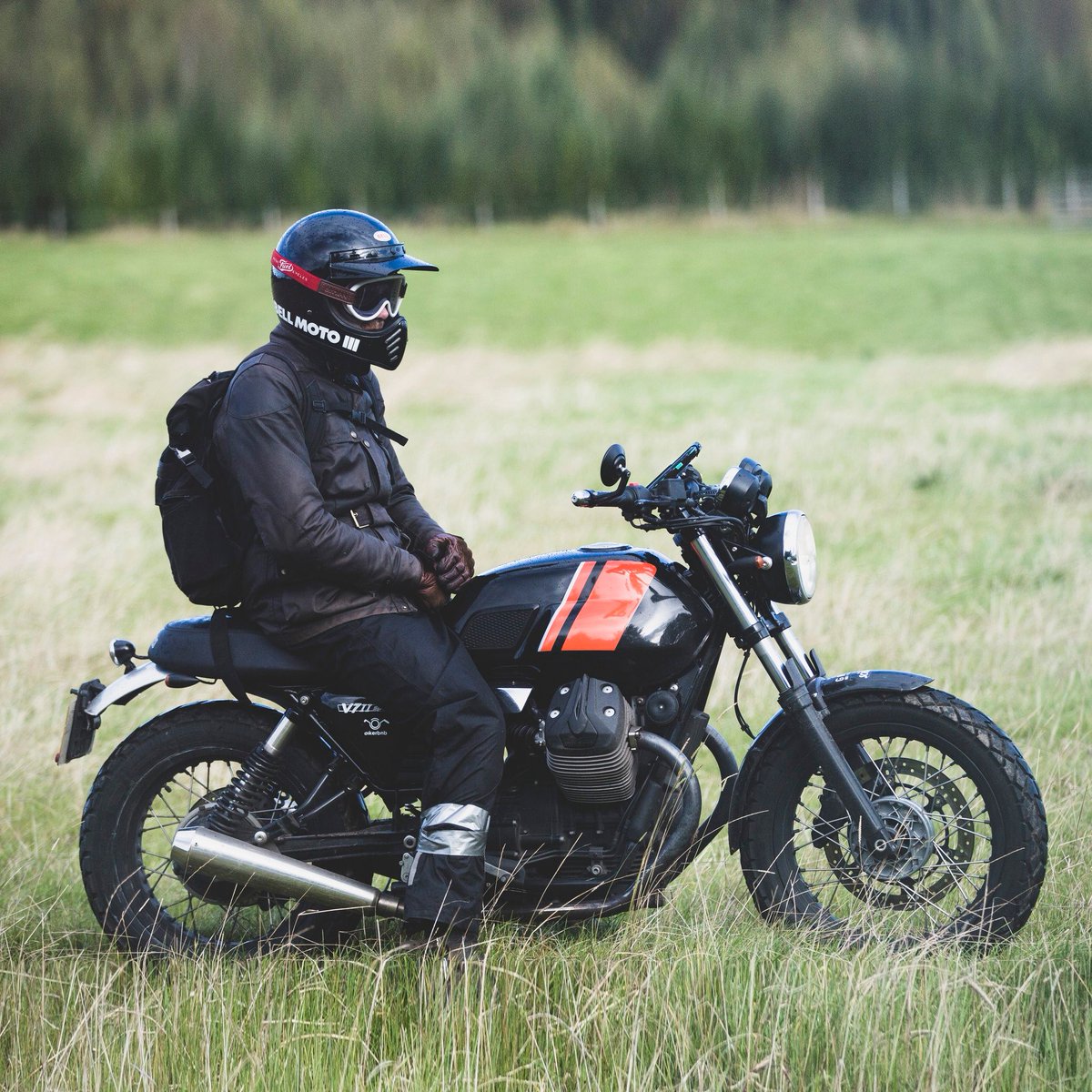 Ultimateaddons tweet media