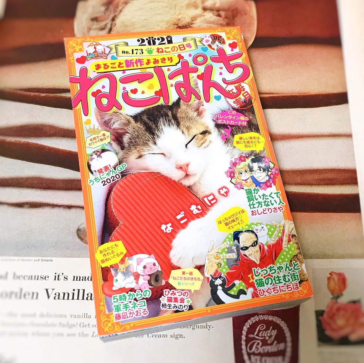 【お知らせ】1月12日(火)発売の ねこぱんち・ねこの日号にて、「猫のエル・ドラド」が掲載されています。街角で絵を描くおばあさんのもとに探偵がやってくるお話です。どうぞよろしくお願いします??️✏️