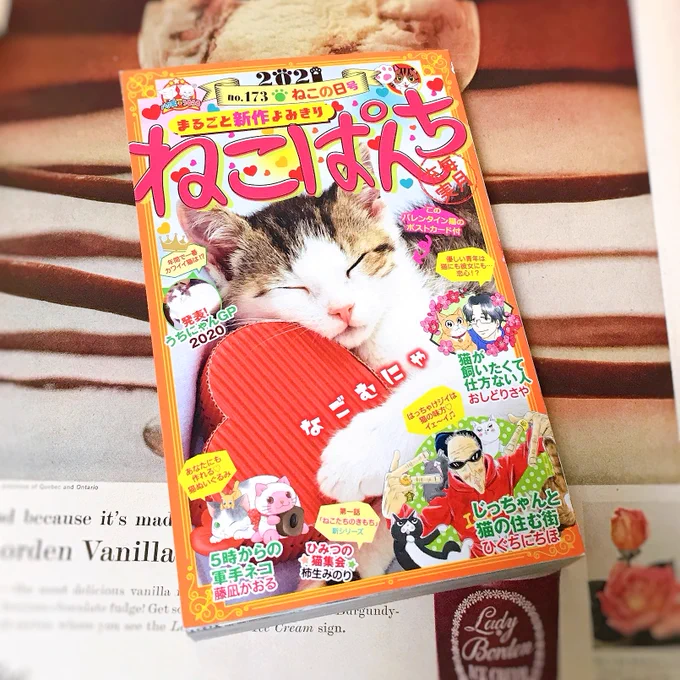 【お知らせ】1月12日(火)発売の ねこぱんち・ねこの日号にて、「猫のエル・ドラド」が掲載されています。街角で絵を描くおばあさんのもとに探偵がやってくるお話です。どうぞよろしくお願いします??️✏️ 