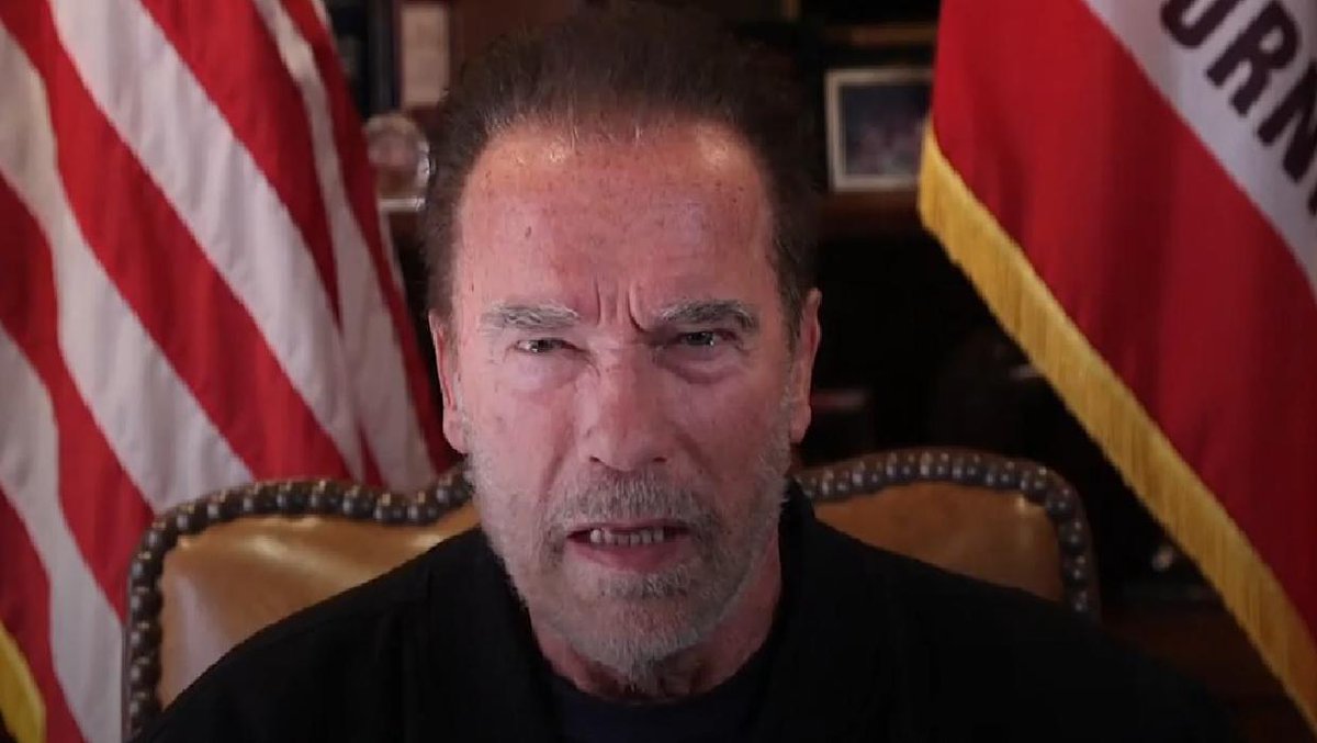 VIDEO Arnold Schwarzenegger lambasts Trump and compares rioters to Nazis