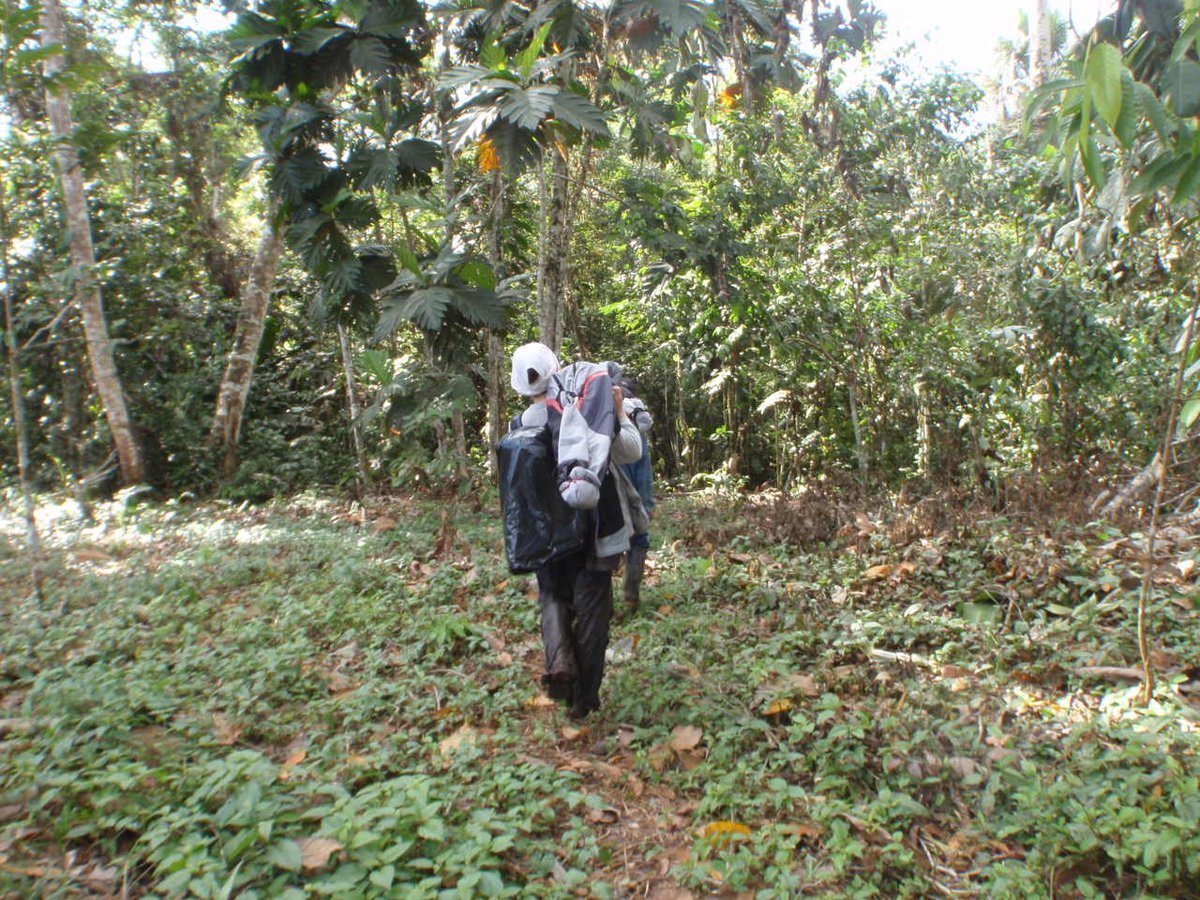 Encarni Montoya tweet media