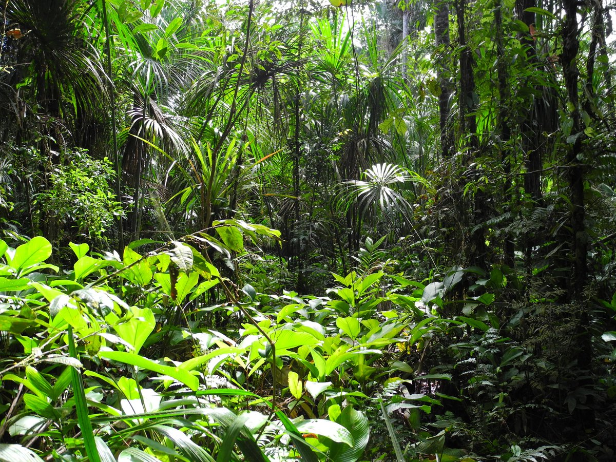 Encarni Montoya tweet media