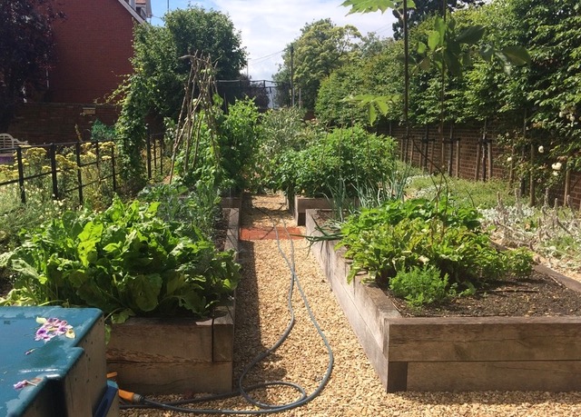 slowfooduk's tweet photo. Start of a new monthly Blog, from Claire @fix_slow as she chronicles her Slow Food Gardening, follow her tales of growing in her back garden of a suburban town. Beautiful writing. https://t.co/YyyJqYN7Yx https://t.co/7dLvt3vrlf
