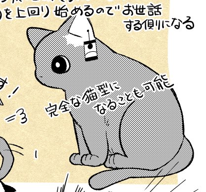 最初はちゃんと猫の身体意識して描いてたのに気を抜くとこれよ 