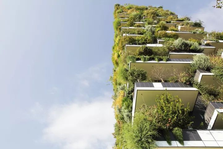 GreenGrassGrid's tweet photo. https://t.co/xsowRrkLAq
#green #landscapephotography #GreenWall https://t.co/0bGILWXbcP