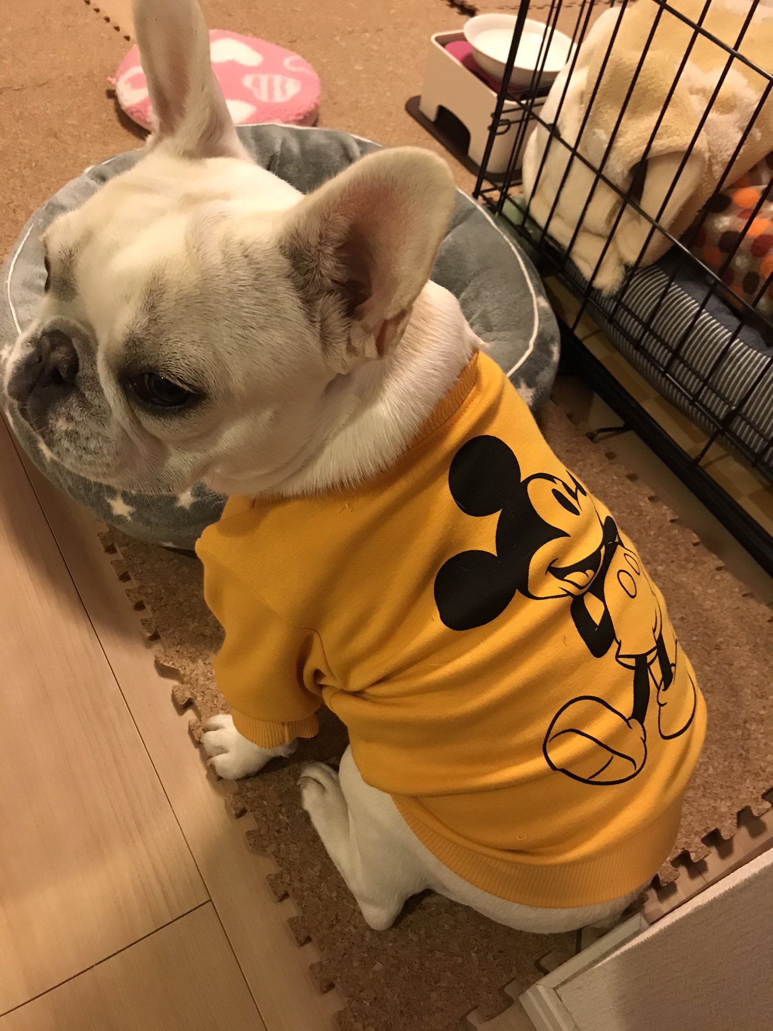 フレブルびび 溶けかけの雪の散歩ですぐ服が泥んこになって着替えの服が足りない 西松屋で買った子供服を少し手直し ダブついてるところがあったりするけど とりあえず暖かい服が急ぎ必要なので良しとしましょう T Co Isovwtholv Twitter