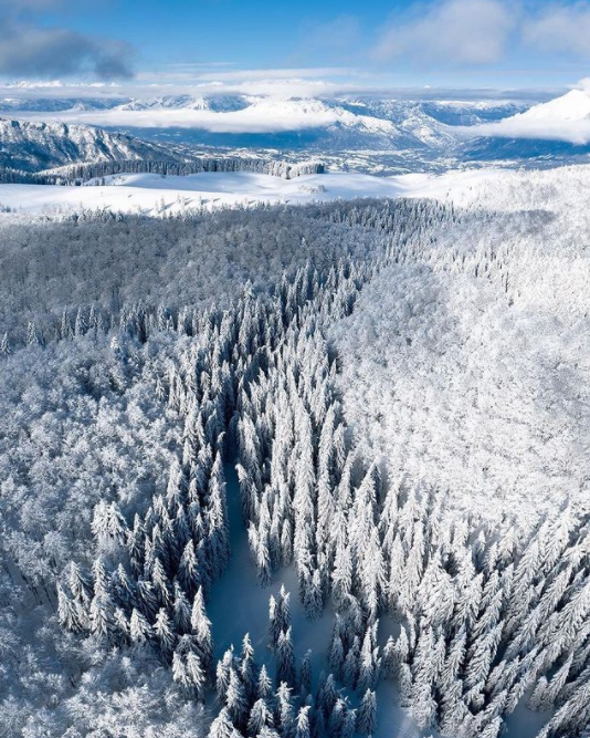 TurismoVeneto's tweet photo. La #ForestadelCansiglio è una delle più belle aree naturalistiche d'Italia. Anche in inverno, ricoperta da un candido e soffice mantello che avvolge ogni cosa 

https://t.co/kiZQsOYn9q

#VisitVeneto 

(Foto IG happydroningtreviso) https://t.co/hQDxg0YHE4
