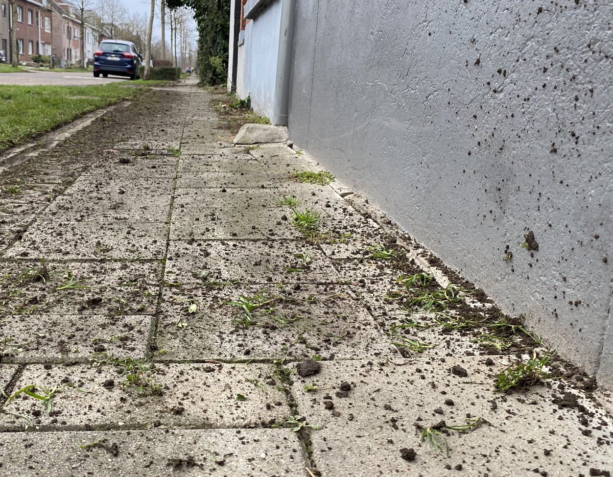 Pwainx's tweet photo. De groendienst komt weer langs! Resultaat auto terug wassen, ramen kuisen en de komende week een modderig voetpad. 
Wanneer stoppen jullie nu eens met al die machinerie vlakbij auto’s en woningen?! Respect naar jullie burgers 0,0! Groendienst moet beter!
@2180_Ekeren @KPalinckx https://t.co/AqkNgmaoot