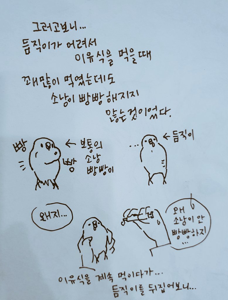 듬직이처럼 소낭이 유난히...옆구리랑 등이 빵빵해지는 아기새들이 있나봐요... 