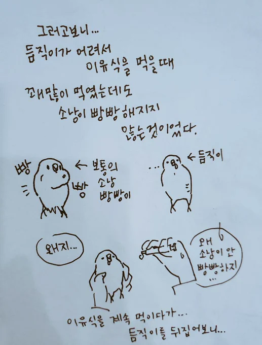 듬직이처럼 소낭이 유난히...옆구리랑 등이 빵빵해지는 아기새들이 있나봐요... 