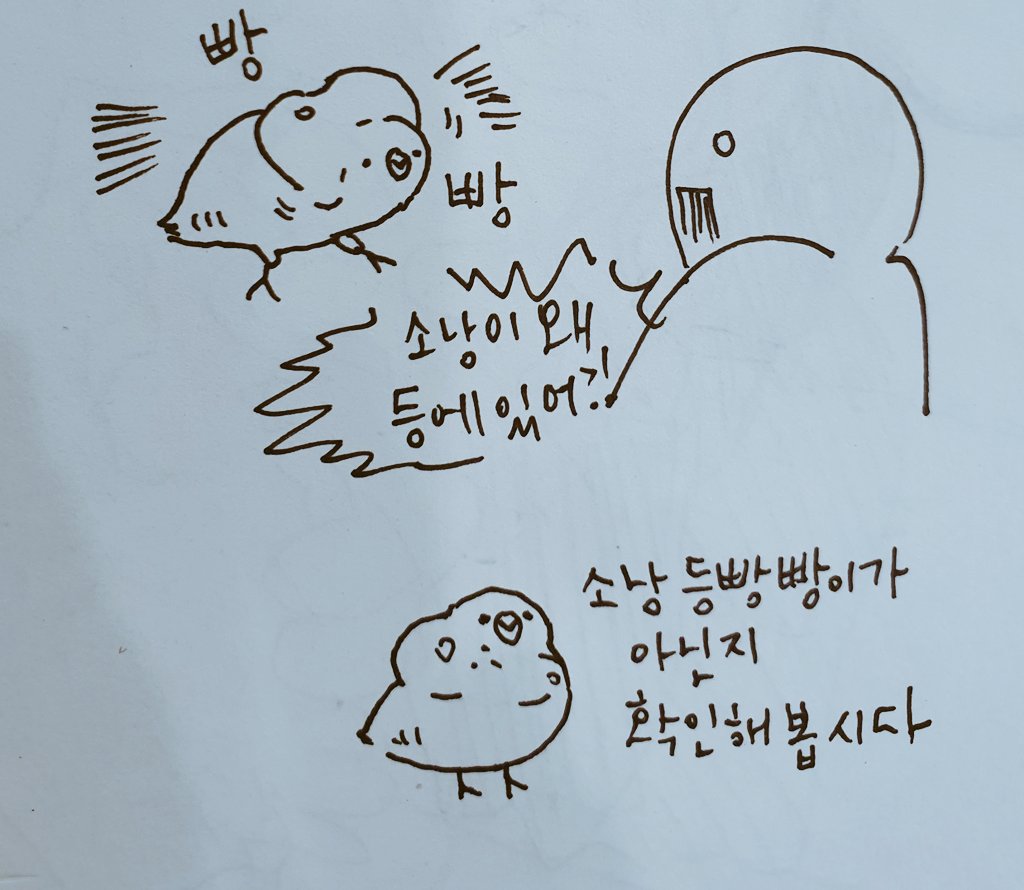 듬직이처럼 소낭이 유난히...옆구리랑 등이 빵빵해지는 아기새들이 있나봐요... 