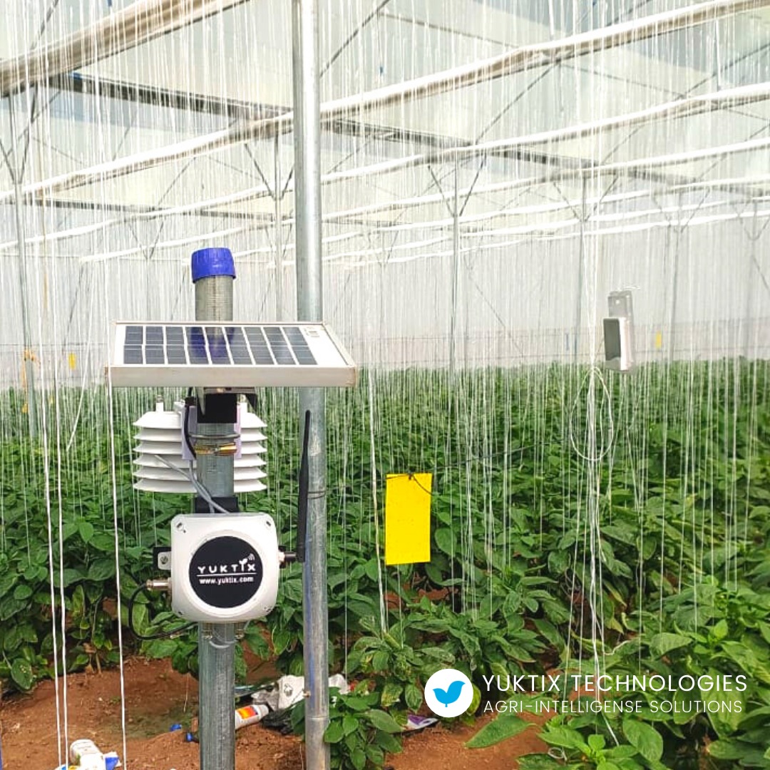 One of our latest installation in a capsicum #greenhouse providing the farmer irrigation advisory, disease forecast and digital agronomist access. 

More power to farmers 

#IoT #agritech #MakeInIndia #agriculture #agriculturaltechnology #GreenSense