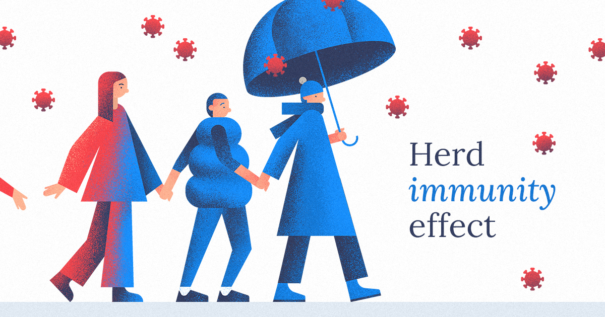 In #immunology, there is an effect of #herdimmunity or population immunity – a form of indirect protection from #infectiousdisease. It occurs when a sufficient percentage of a population has become immune to an infection, thereby disrupting infection chains.