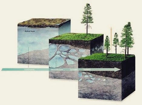 A - Active layer "The top layer of ground subject to annual thawing and ...