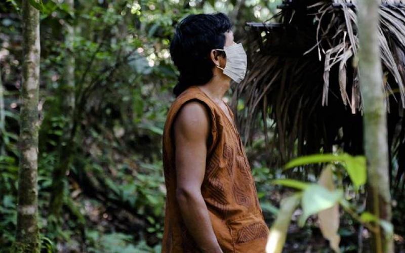  #COVID19 has brought some of the most pressing global challenges in recent history, including for the world’s  #forests and the people depending on them. In EU  #REDD Facility partner countries, the pandemic has had severe social, economic and environmental consequences.