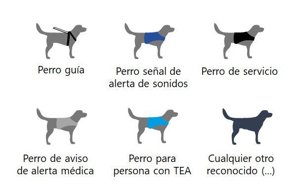 accessibilityD's tweet photo. Volvemos a hablar de #PerrosDeAsistencia: recientemente #Asturias publicó su #normativa al respecto.
Contempla 6 tipos de perros de asistencia.
https://t.co/P9oVAXq31p https://t.co/98nZSWv7ho