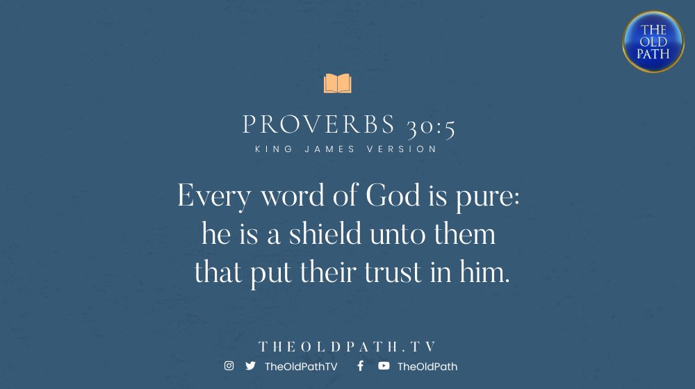 Every word of God is pure: he is a shield unto them that put their trust in him.

(Prov. 30:5, KJV)

#ADDBiblicalAnswers