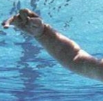 Barney Simon tweet media