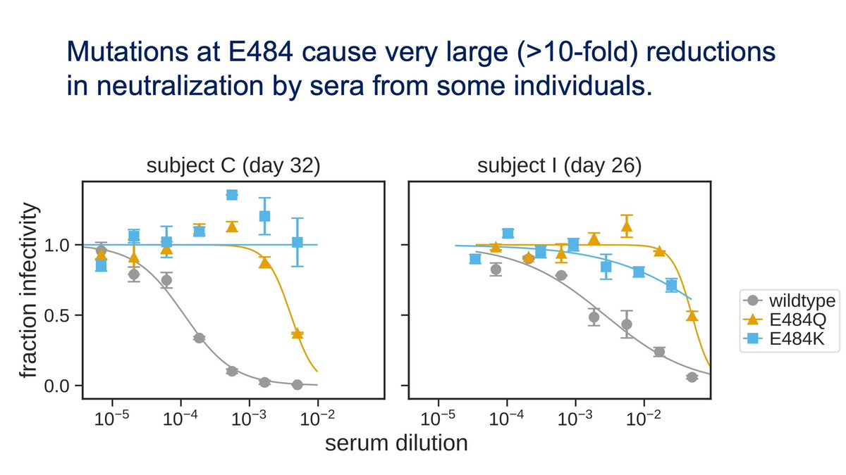 8) How much affect? the E484K shows a 10x reduction of neutralization (“neutralization” = stopping the virus)by various antibodies compared to wildtype (common  #SARSCoV2) in some patients —a rather bad thing. It means the virus with E484K is worrying for “immune escape”.