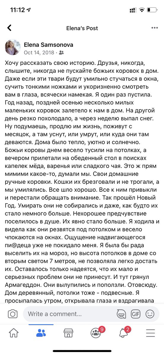 veterinastya's tweet photo. «Никогда, слышите, никогда не пускайте божьих коровок в дом».

Каждый раз, когда кто-то рассказывает, что у них дома поселились парочка мимимишных божьих коровок, я сразу вспомнила жуткую историю моей знакомой: https://t.co/Lv0HDumeRv
