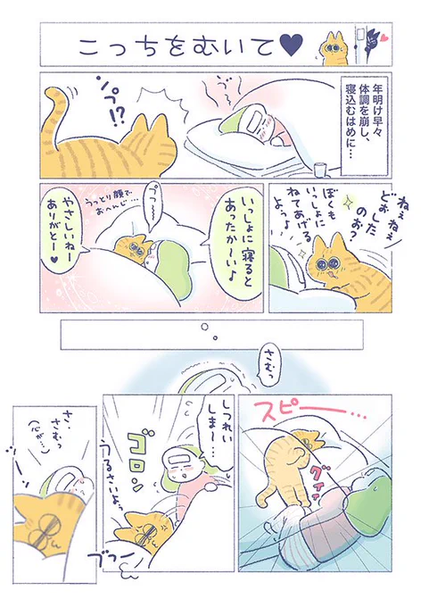 「こっちをむいて」猫(にゃ)たんぽの温度調節、むつかしいです(;'∀`)(吉濱あさこさんの「イチャ猫」)更新!つづきはコチラ⇒ #イチャ猫 