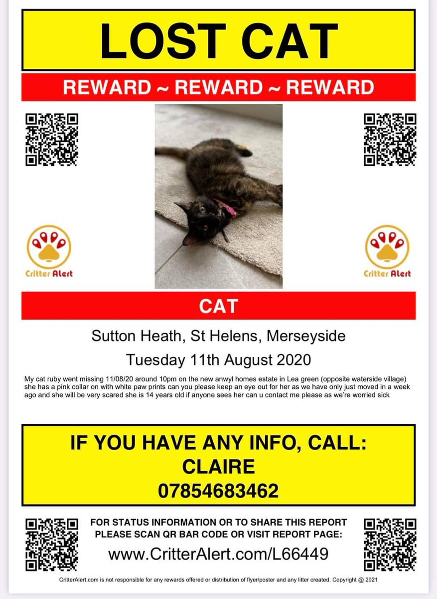 AlanDaffern's tweet photo. #HelpFindRuby 14 year old #TortoiseshellCat #Missing #SuttonHeath (new anwyl homes estate in #LeaGreen opposite #WatersideVillage) #StHelens #Mersyside. She was last seen on 11/08/20 wearing a pink collar with white paw prints. - #lostcat 
https://t.co/lsPuOfbdXL https://t.co/sf0Qy3WDZc