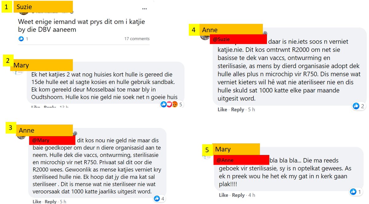 OupaHarry's tweet photo. In hierdie tye van Covid oorheersing op alle media is dit goed om soms iets anders te sien.

Soos hierdie kat storie op n plaaslike Facebook groep: https://t.co/gdTNUksxNm