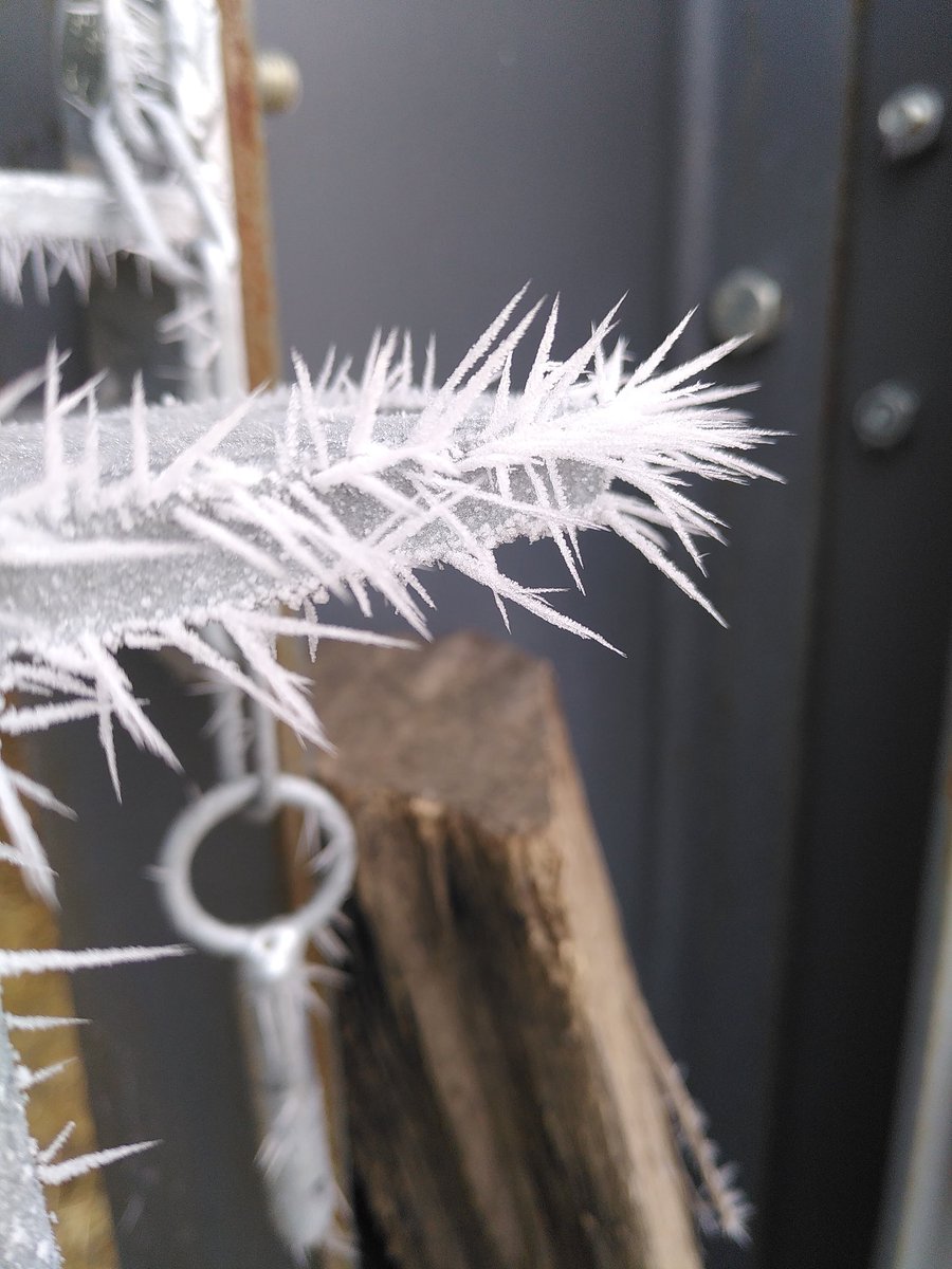 Il a fait un peu froid cette nuit