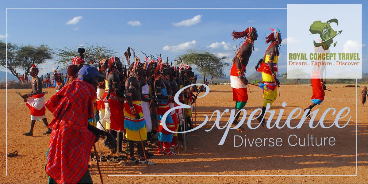 RoyalCTravel's tweet photo. Royal Concept Travel offers an extensive compilation of African Safari packages that highlight the national parks and premium safari lodges while enjoying diverse African wildlife and Local Culture. 
#MondayMotivation #safari #tembeakenya #Magicalkenya #wanderlust #explore https://t.co/CXIbuTtoNj