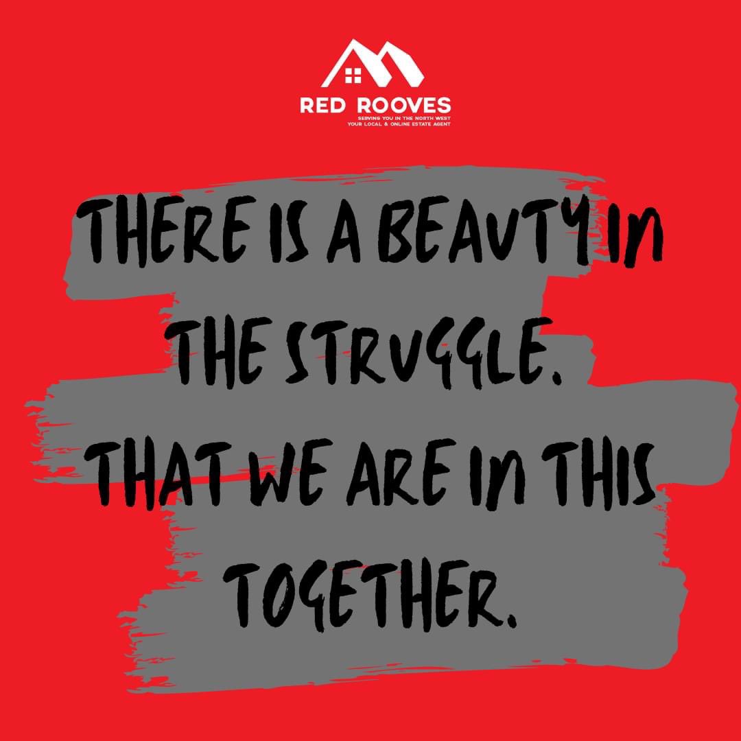 RedRooves's tweet image. 